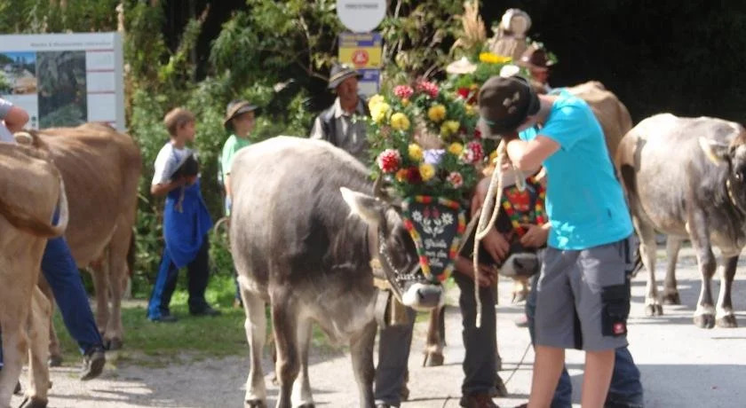 Hauseggerhof