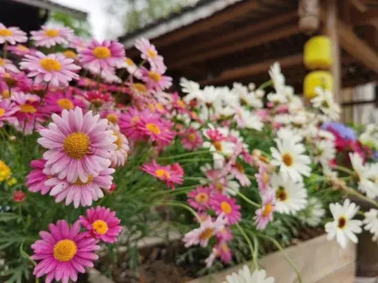 Yunxi · Bieyuan (Fanjingshan Scenic Area Branch)