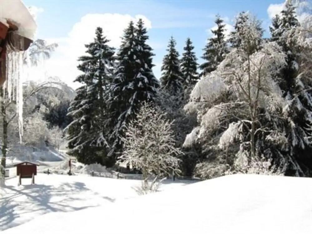 Bio-Hotel Zum Forsthaus