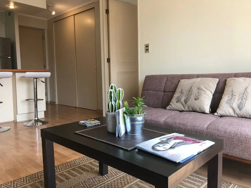 Apartment in Downtown of Santiago, Chile, one Room