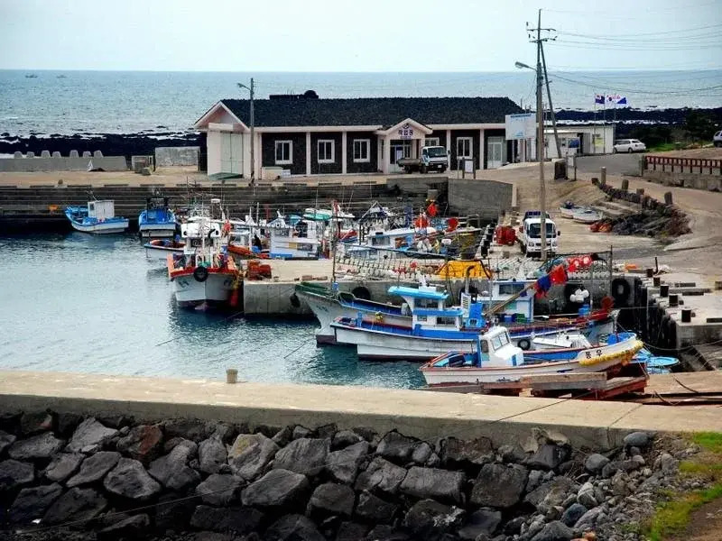 Jeju J Pension
