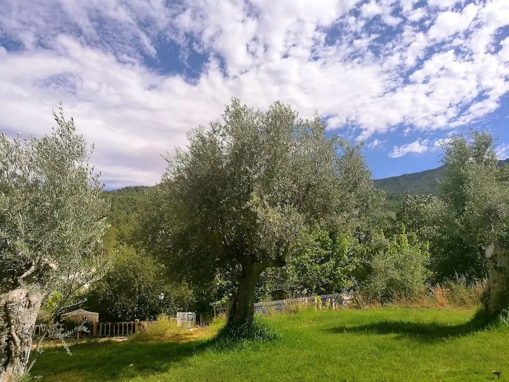 Finca La Celada