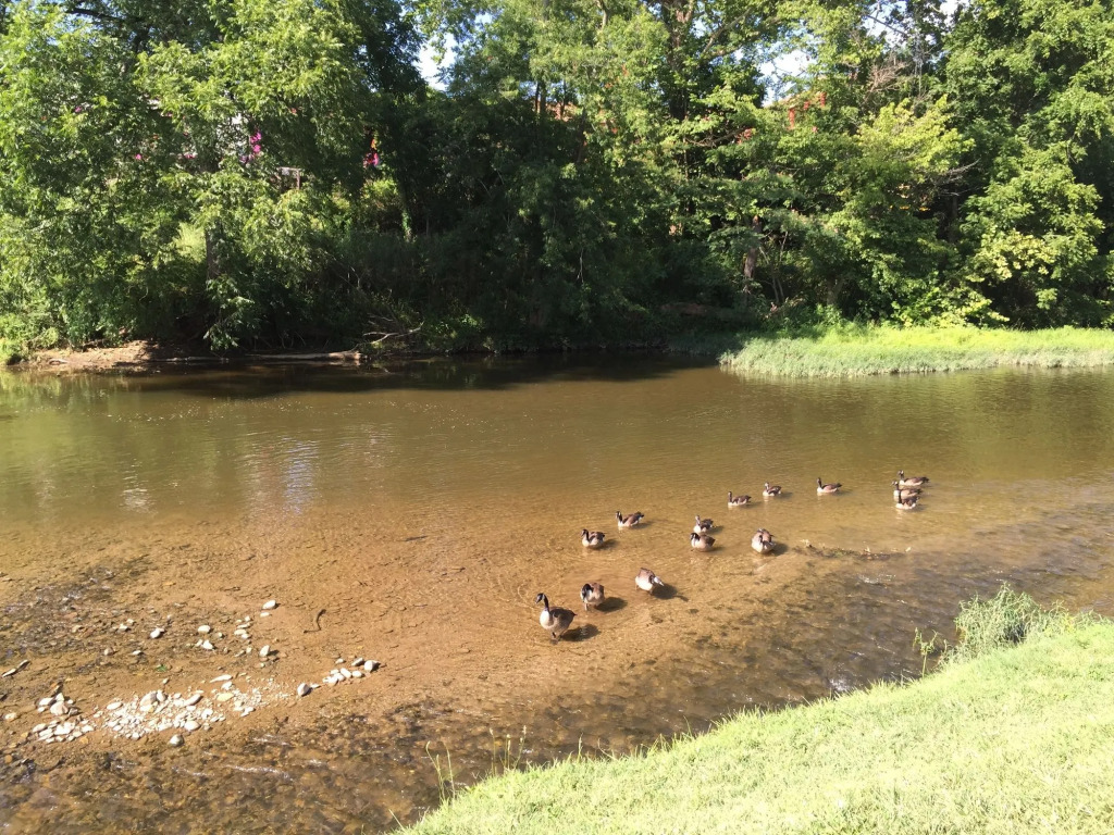 Pigeon River Inn