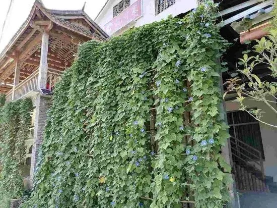 Liuyang Zhouluolongyazhai Farm