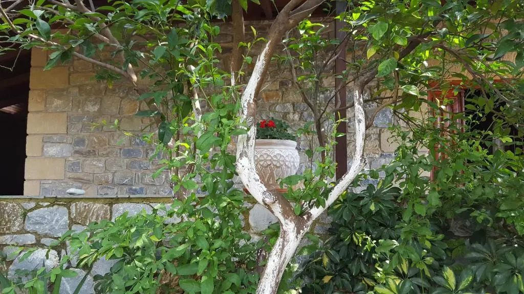 Villa Onar a stone house with amazing view
