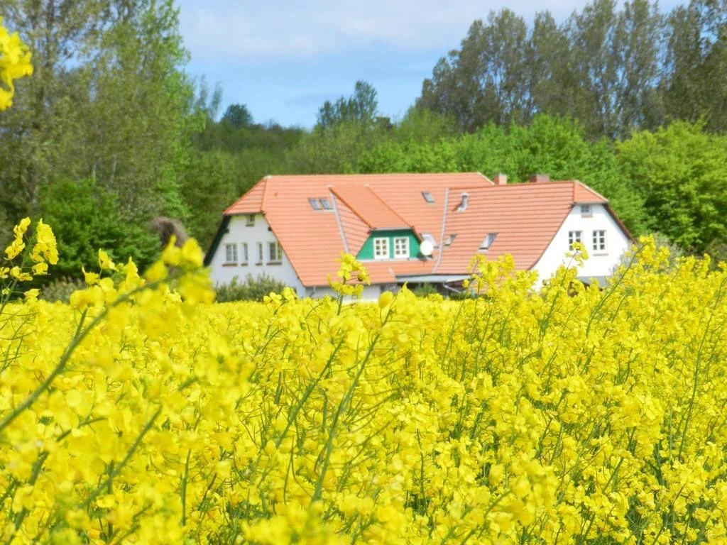 Landhaus Alt Reddevitz