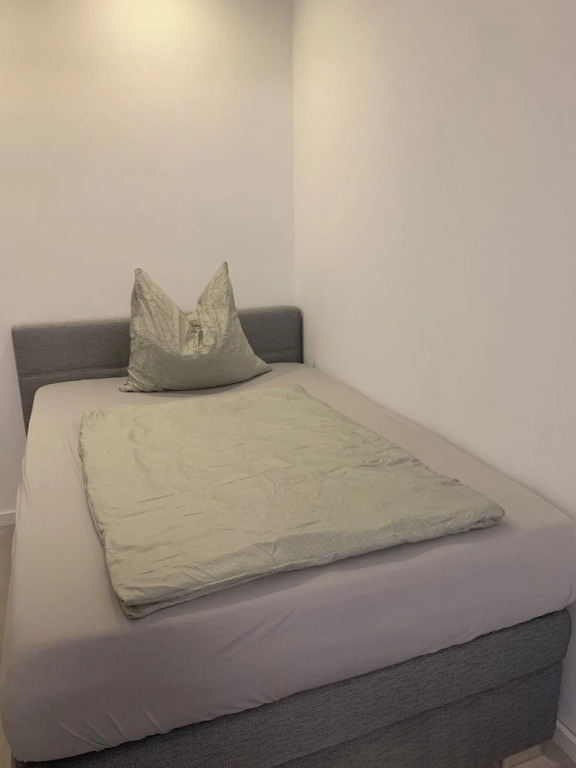 Apartmenats Mitte Messe und Zentrum