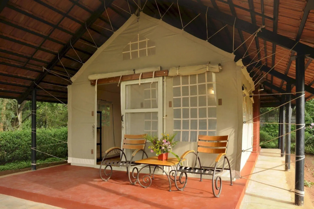 Olive Farm @ Embassy International Riding School