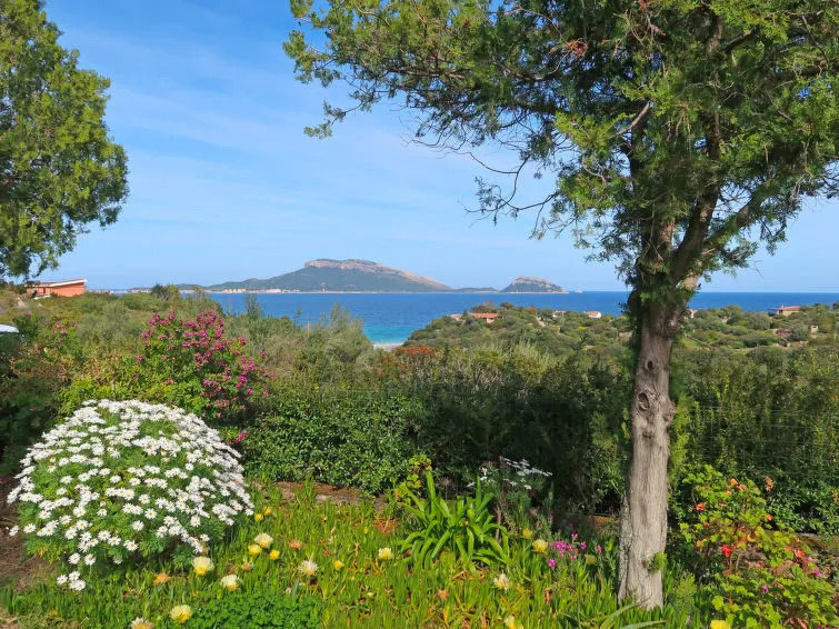 Locazione Turistica Gardenia