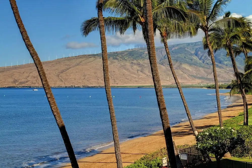 Kihei Beach #306 by Ali'i Resorts
