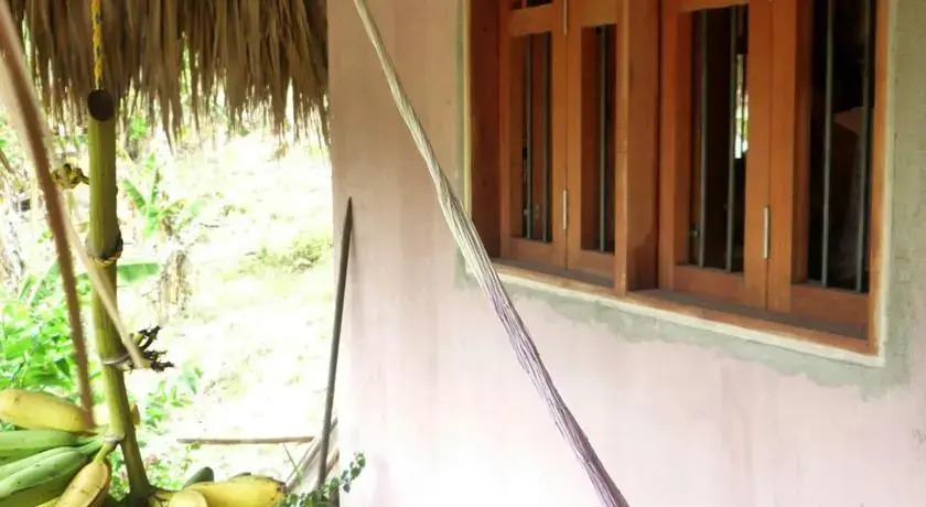 Zamukia