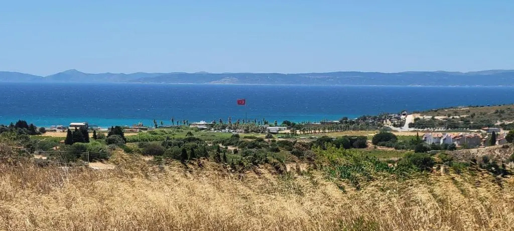 Zeytiny l Tiny Houses & Farm l Çeşme