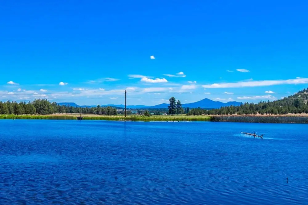 Long Hollow Guest Ranch