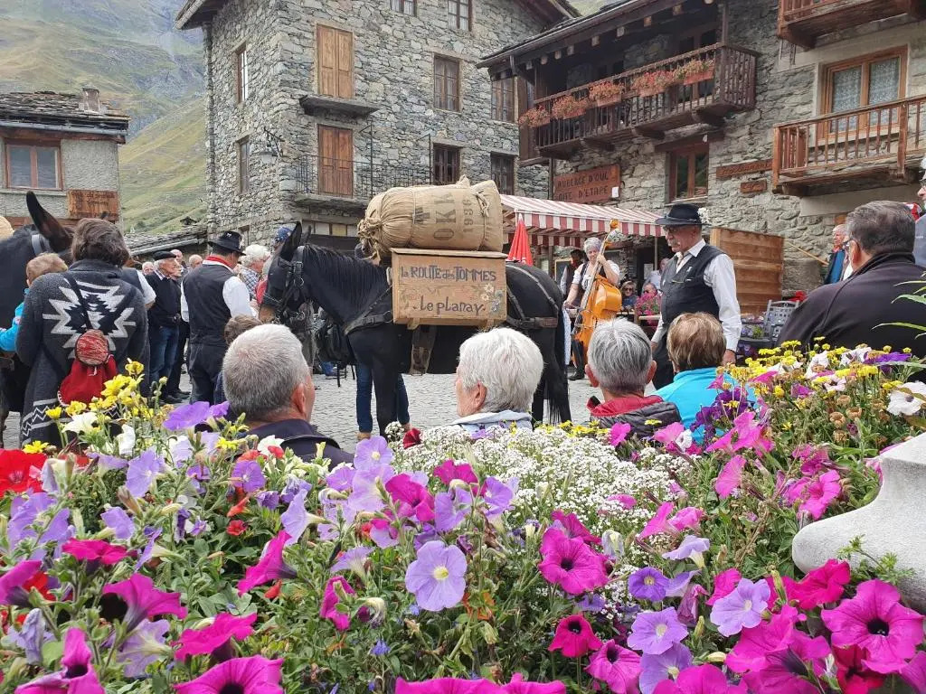 Chalet Le Bois Joli