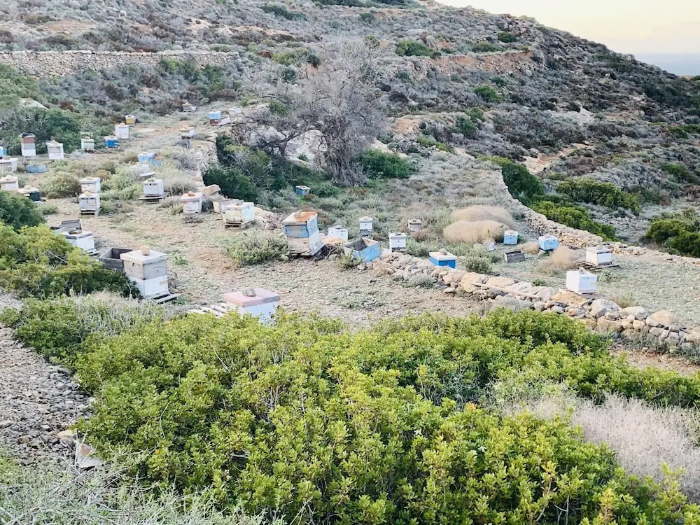 Theoxenia Kasos Luxury Apartments