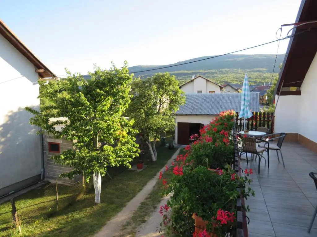Guest house Ruza