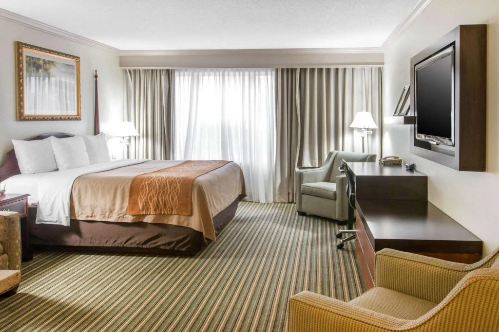 Comfort Inn Plainwell