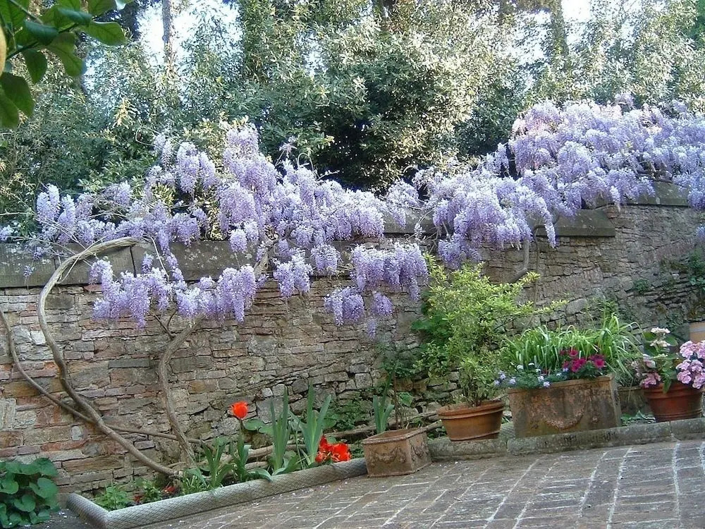 Borgo Ponte dellAsse