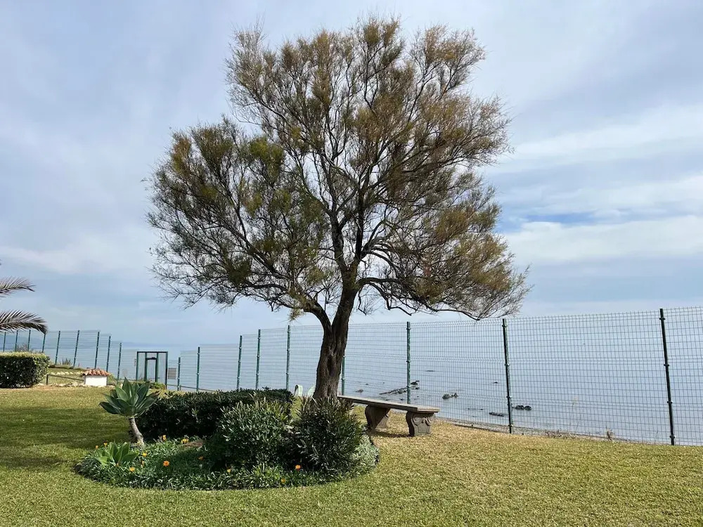 Premium Luxury-casares Del Mar-seaside Apartment