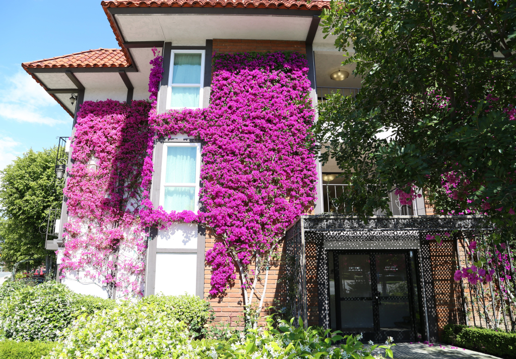Laguna Hills Lodge-Irvine Spectrum