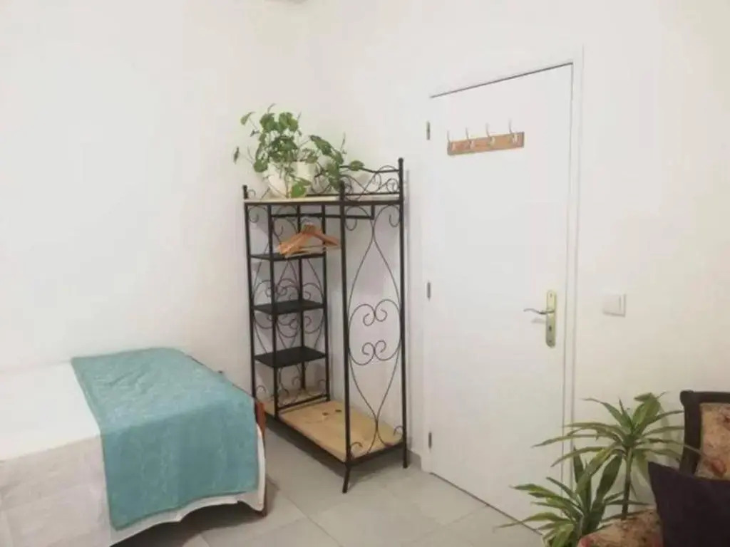 Home & Flower 2