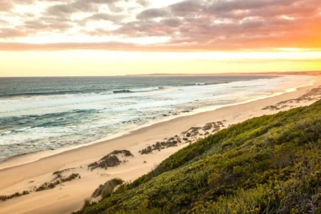 A Whale, A Bush Buck and A Glass of Wine