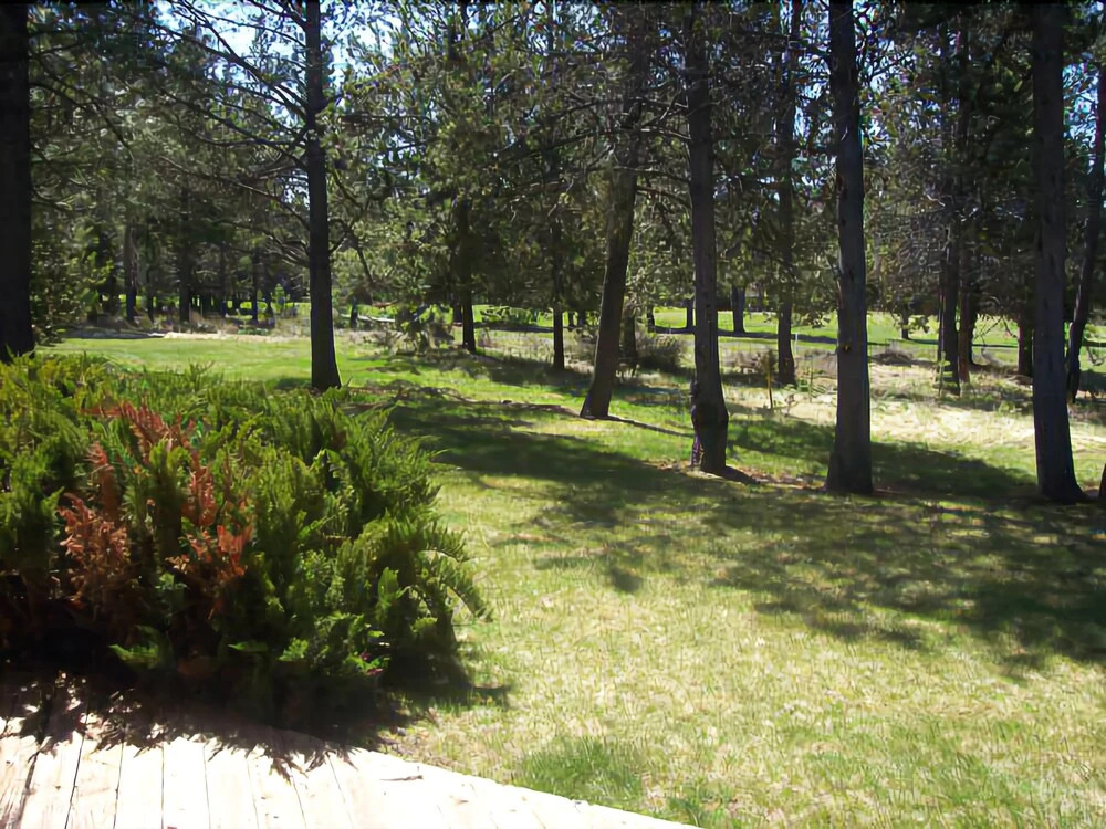 Meadow Private Vacation Home Condo 70
