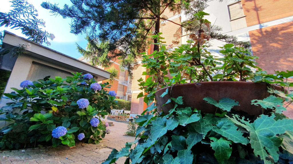 Villa Letizia - Casa per ferie