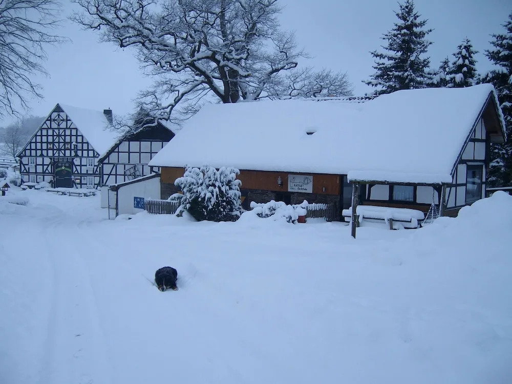 Alluring Holiday Home in Vellinghausen With Pool