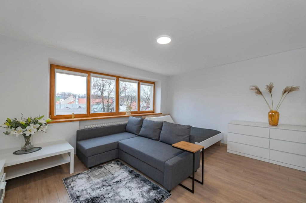 Simplistic apartment near Kaunas Archcathedral