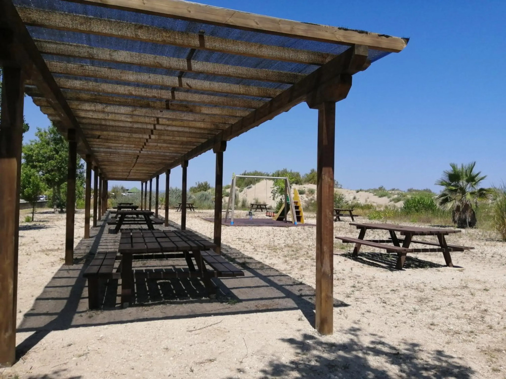 Somnis del Delta
