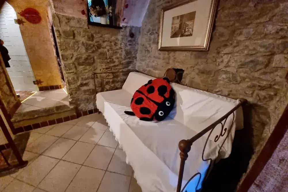 Coccinelle