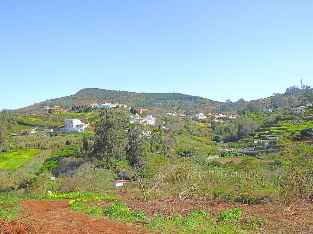 La Alpispa