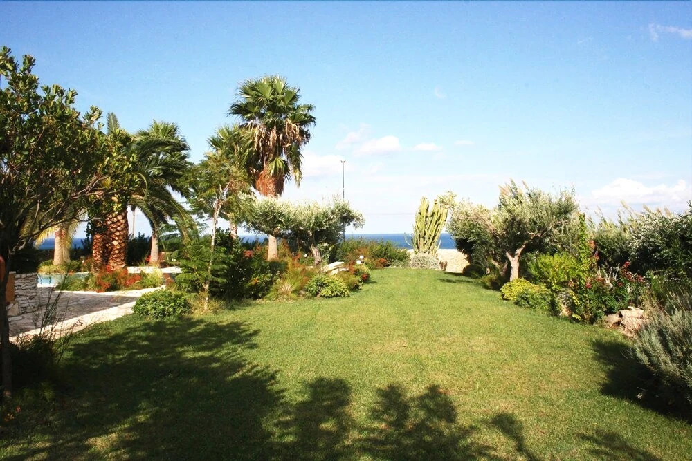 Cialoma