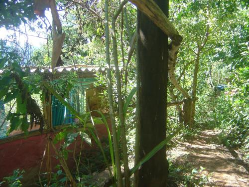 Orgânica-Mente B&B