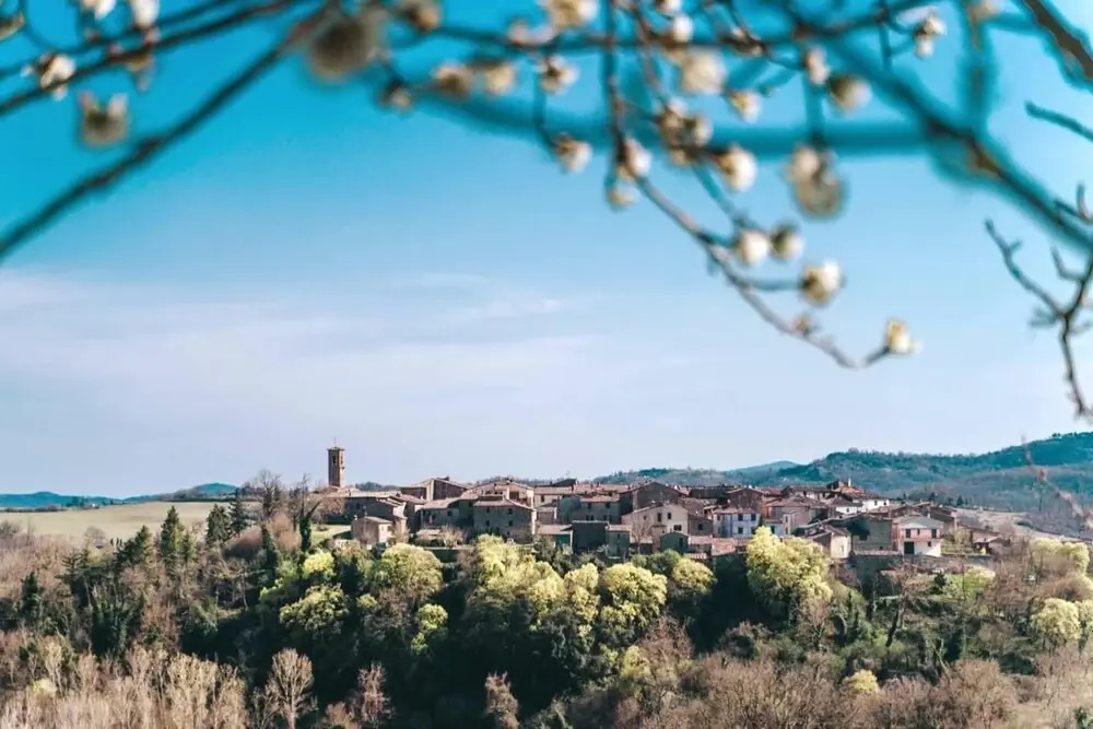 Stunning 1-bed Apartment in Montalcinello