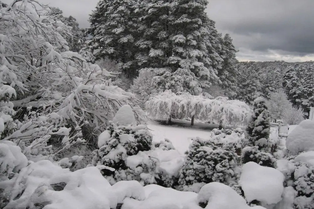 Rutland Cottage
