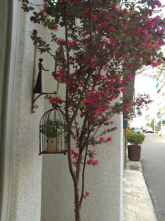 Tainan Comfortable House