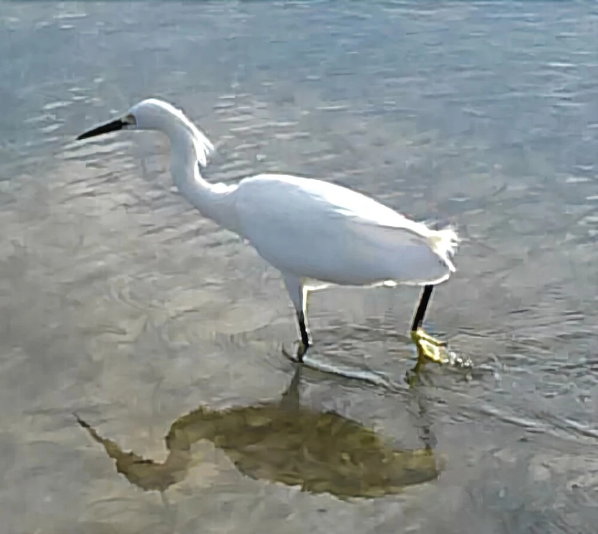 Sanibel Siesta on the Beach Unit 501 2 Bedrooms 2 Bathrooms Condo