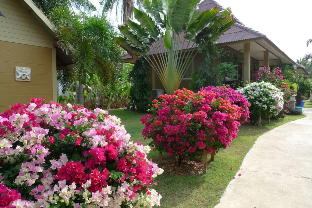 Lanta Castaway Beach Resort