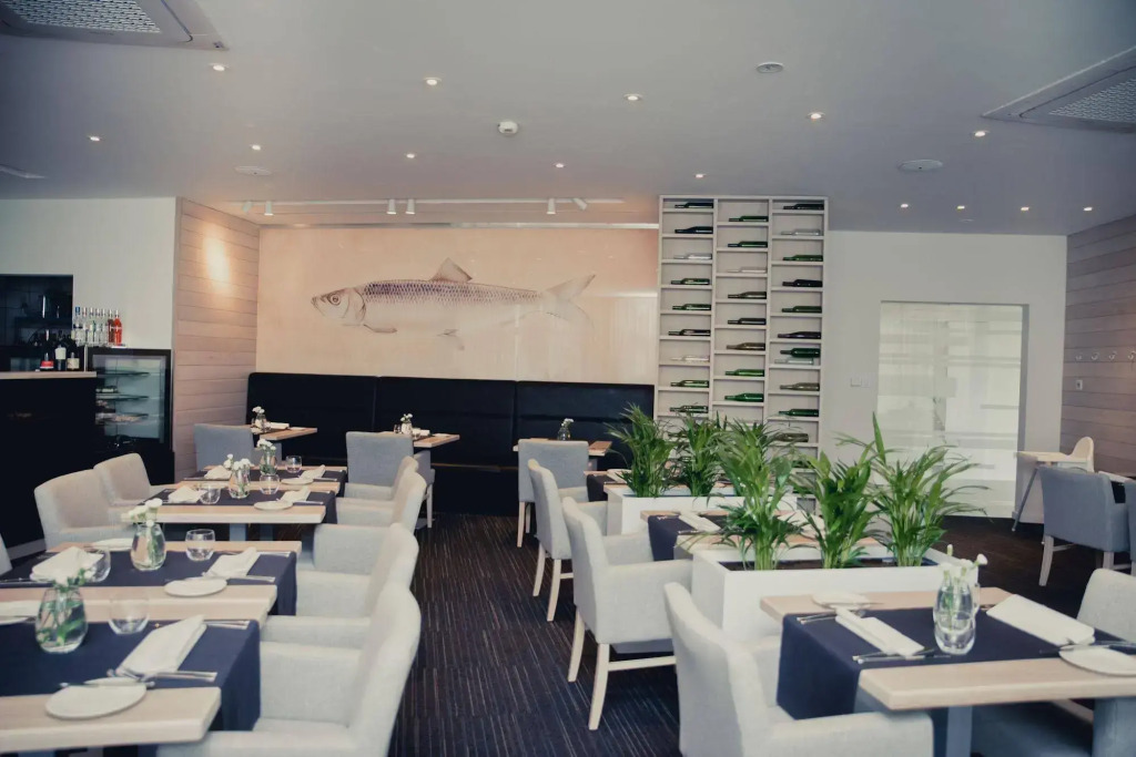 Hotel Shuum Boutique - Destigo Hotels