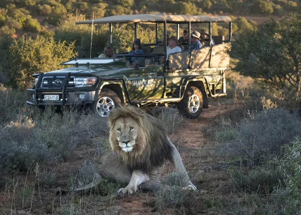 Shamwari Sarili Lodge