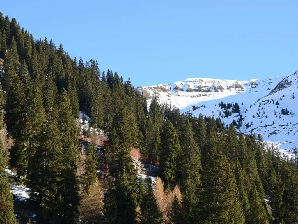 Studio Flaine, 1 pièce, 4 personnes - FR-1-425-178