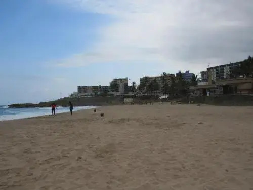 Dolphin View 308