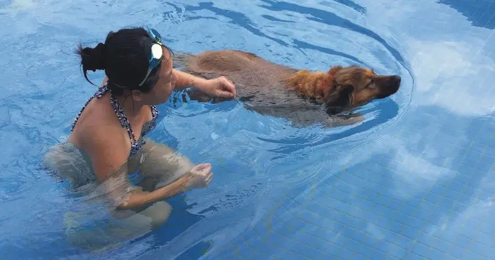 True Love
