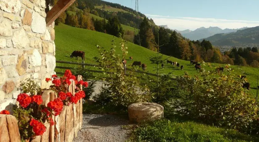 Alpage du Villard