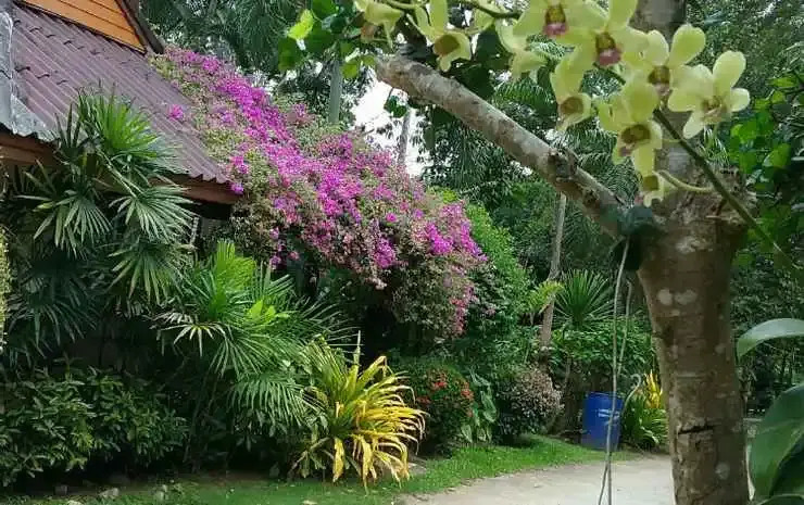 Baan Pak Rimkuen Resort