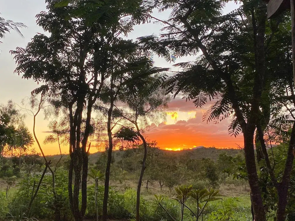 Terra Coral - Chapada dos Veadeiros