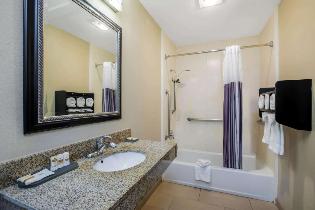 La Quinta by Wyndham Carlsbad - Legoland Area