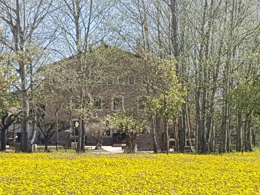 Molí Blanc Hotel